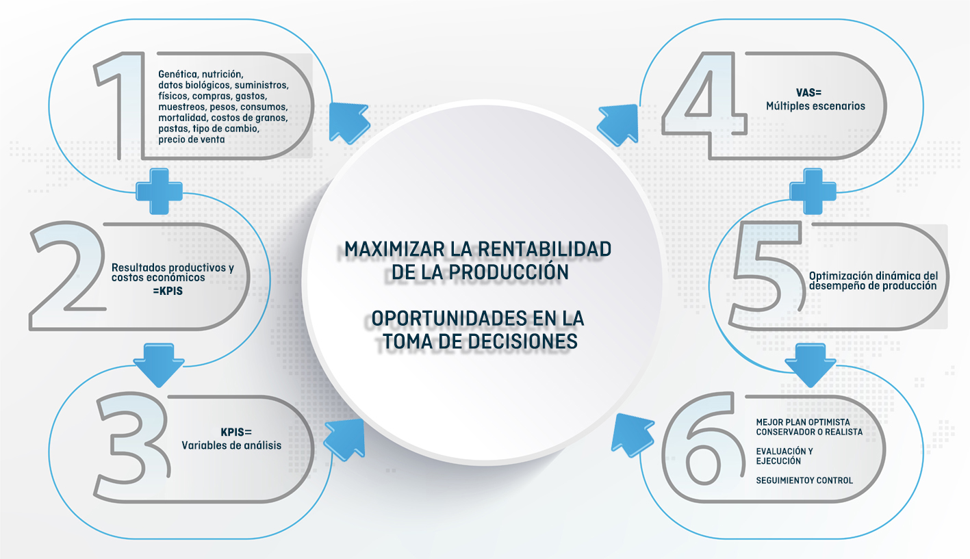 producto 02